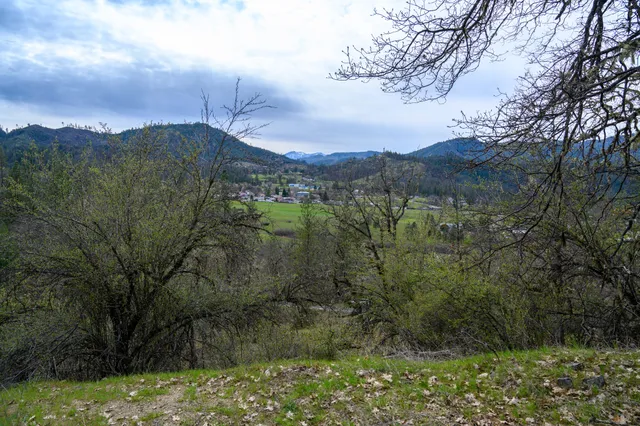 a view of a city with lots of trees