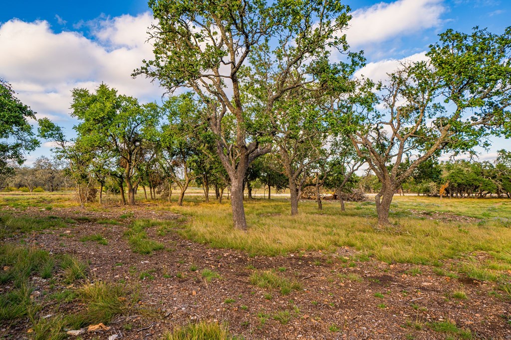 Lot 49 Reservation Road, Unit 49 Harper, TX 78631 - Photo 4 of 6 Gallery Image 4