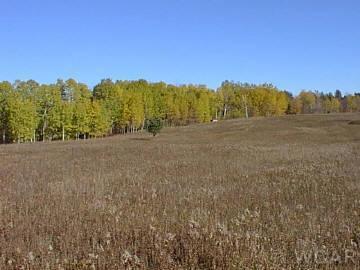 180th Avenue Reed City, MI 49677 - Photo 1 of 4 Primary Photo