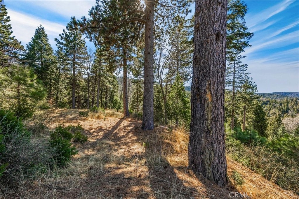 109 Mill Pond Road Lake Arrowhead, CA 92352 - Photo 34 of 43