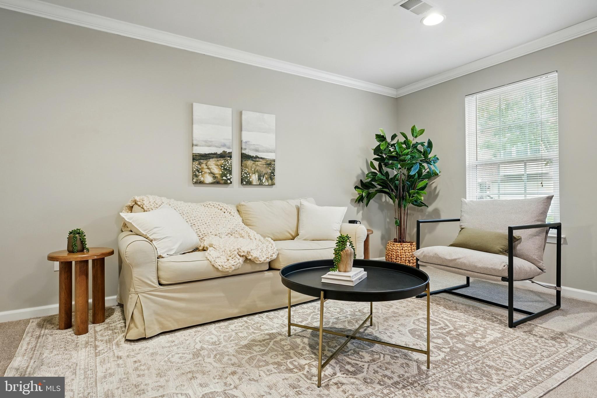 7054 Kona Drive Gainesville, VA 20155 - Photo 6 of 39 a living room with furniture and a potted plant