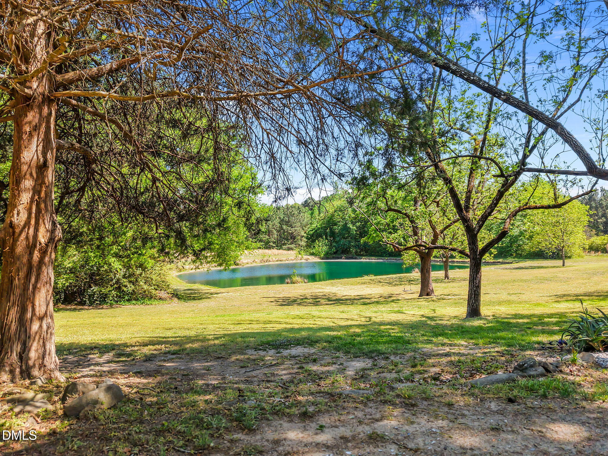 1718 Will Suitt Road Creedmoor, NC 27522 - Photo 36 of 51 Pond