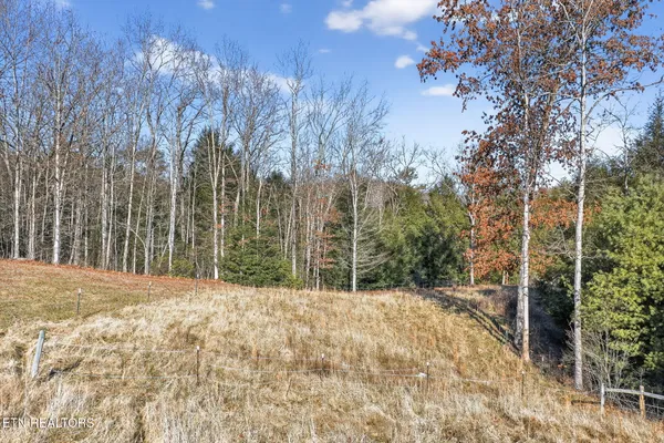 140 Cherry Ridge Road, Jamestown, TN 38556