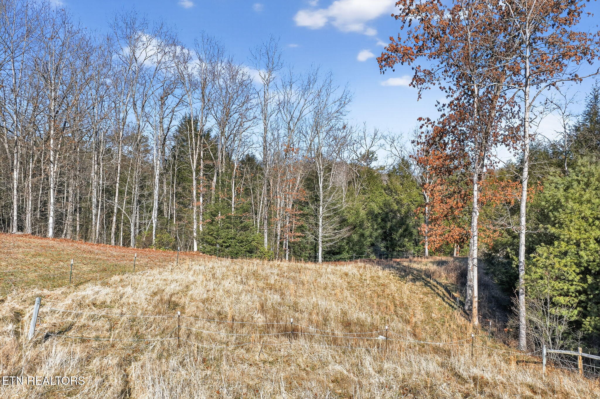 140 Cherry Ridge Road Jamestown, TN 38556 - Photo 27 of 60 36-web-or-mls-140 Cherry Ridge Rd-198