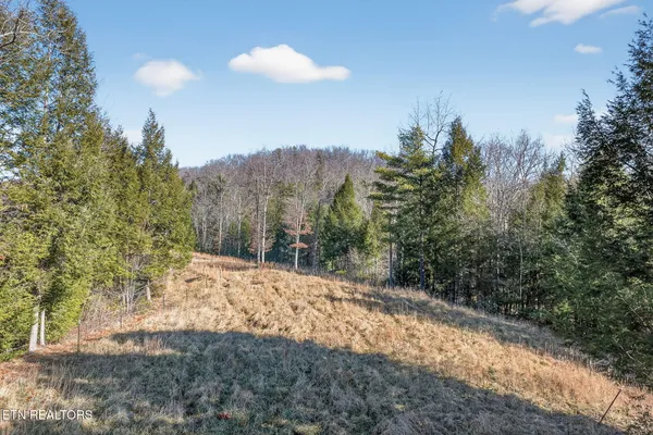140 Cherry Ridge Road, Jamestown, TN 38556