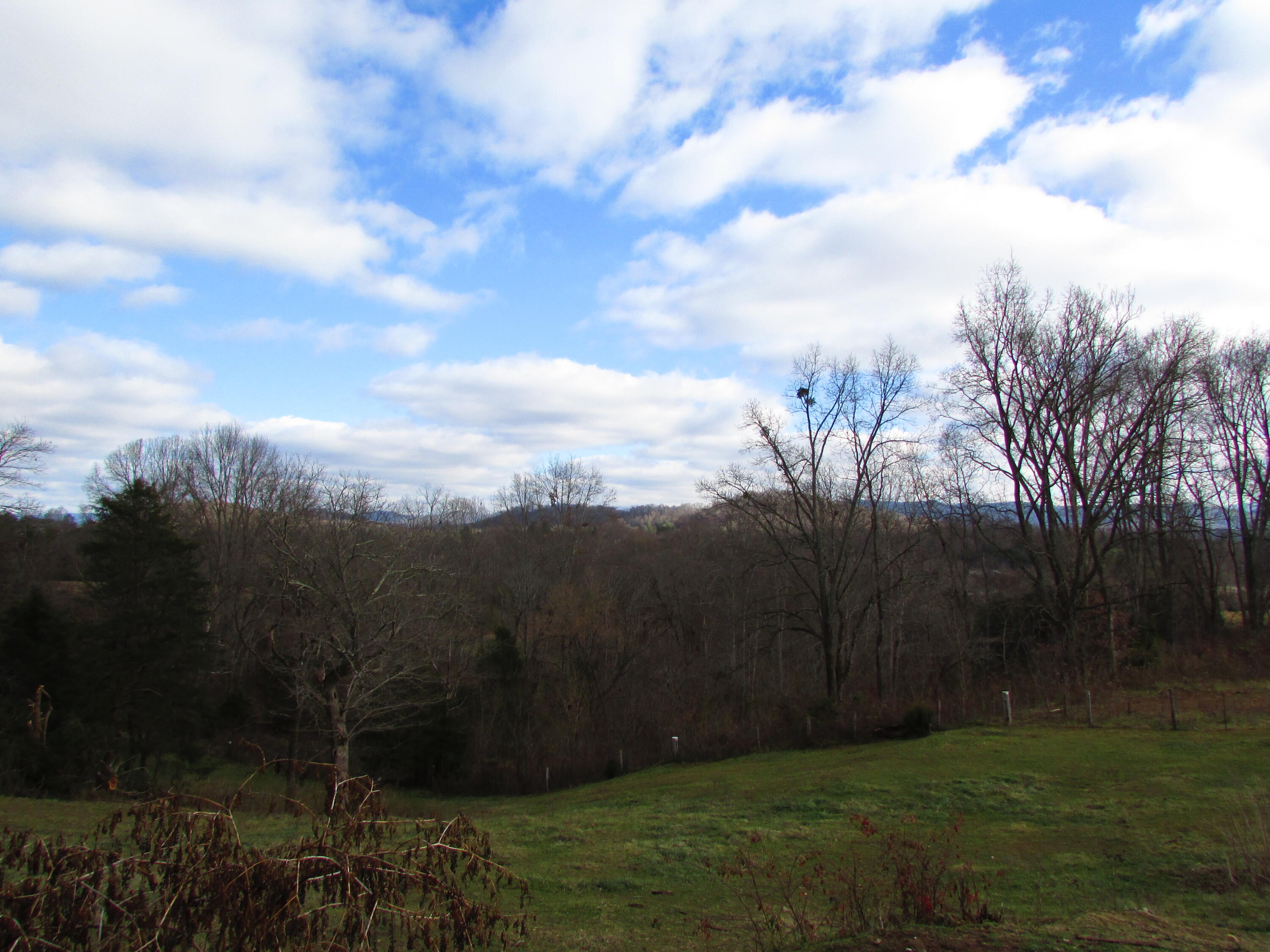 131 Cade Road, Unit B Johnson City, TN 37601 - Photo 15 of 22 131 Cade Road Elizabethton TN 37643 (14)