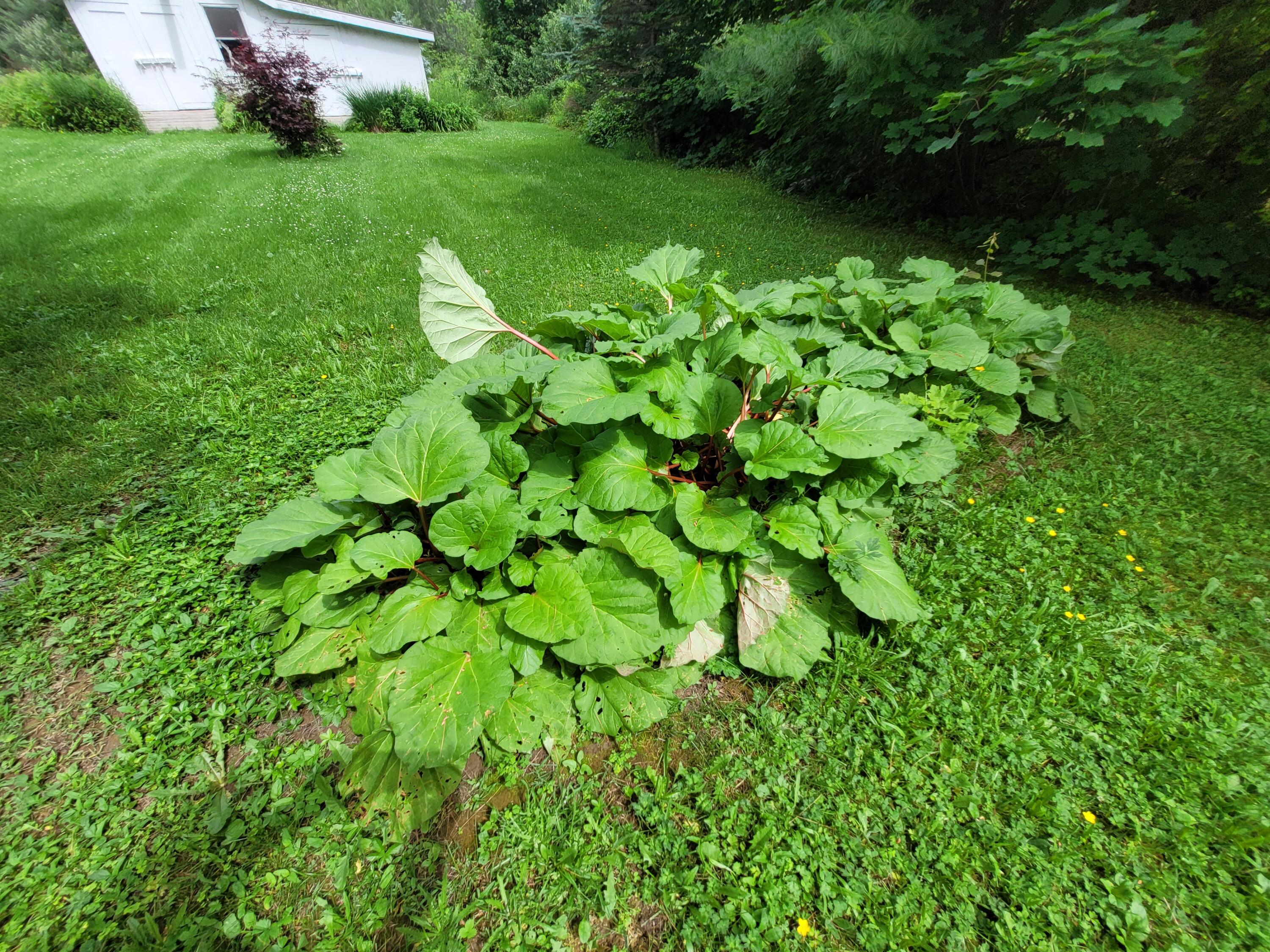 29 Horseback Road Carmel, ME 04419 - Photo 11 of 45 20230629_143008