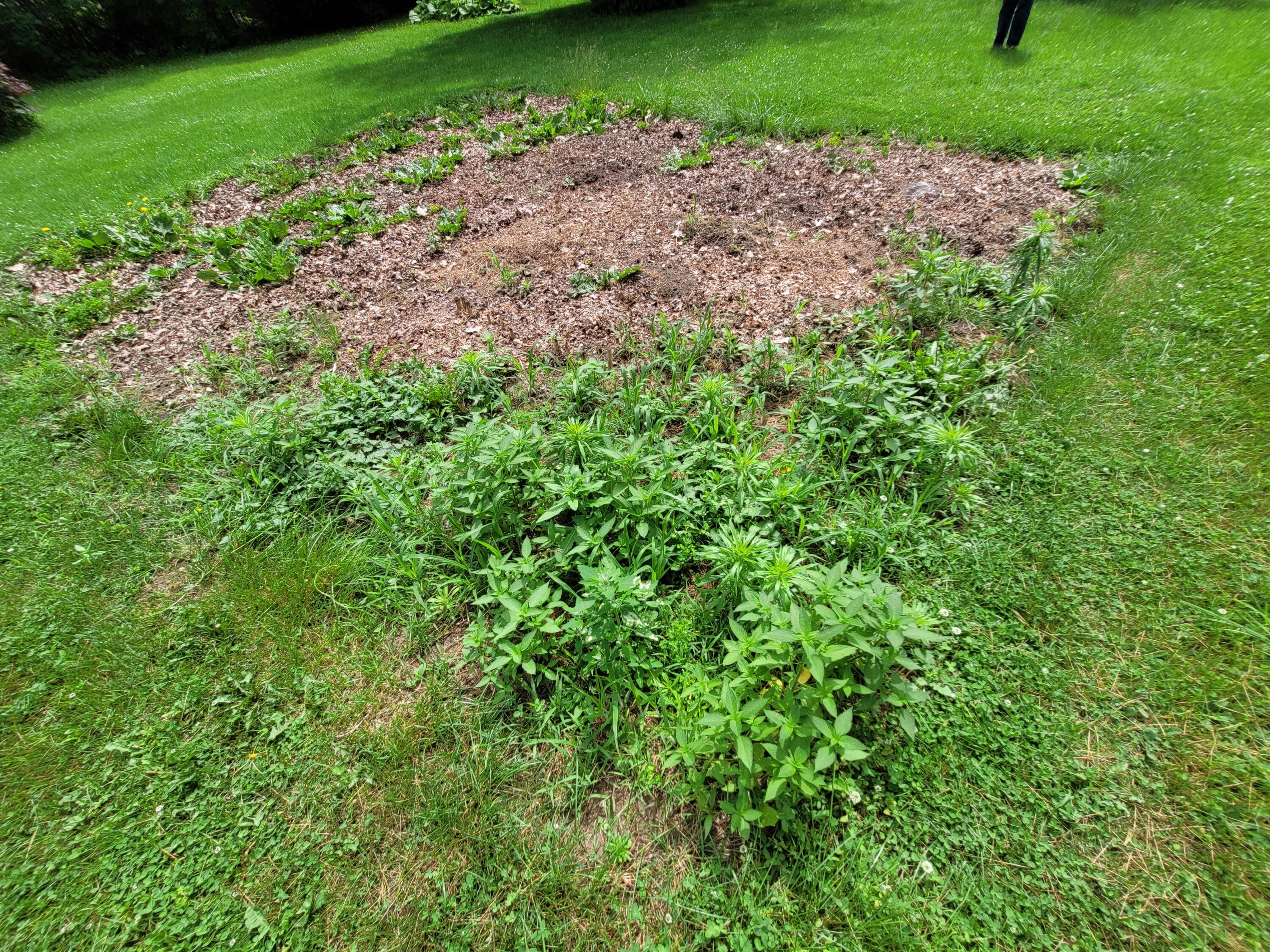 29 Horseback Road Carmel, ME 04419 - Photo 13 of 45 20230629_143036