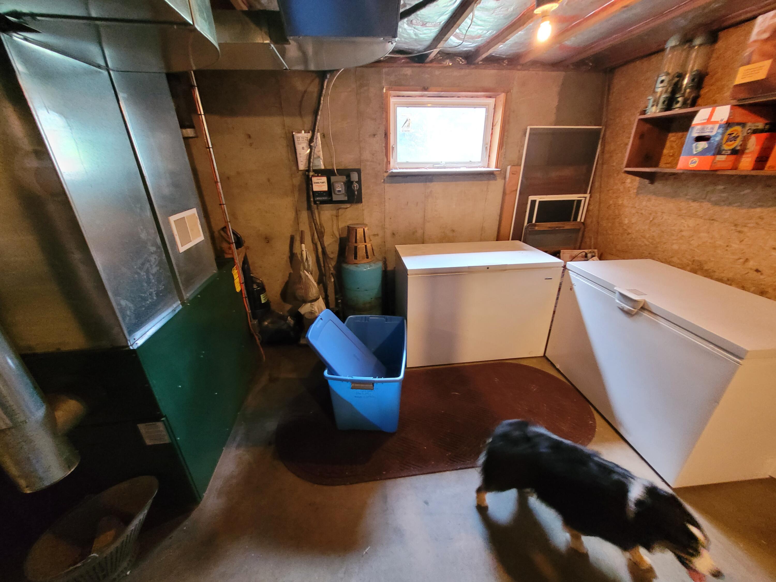 29 Horseback Road Carmel, ME 04419 - Photo 34 of 45 20230629_144711