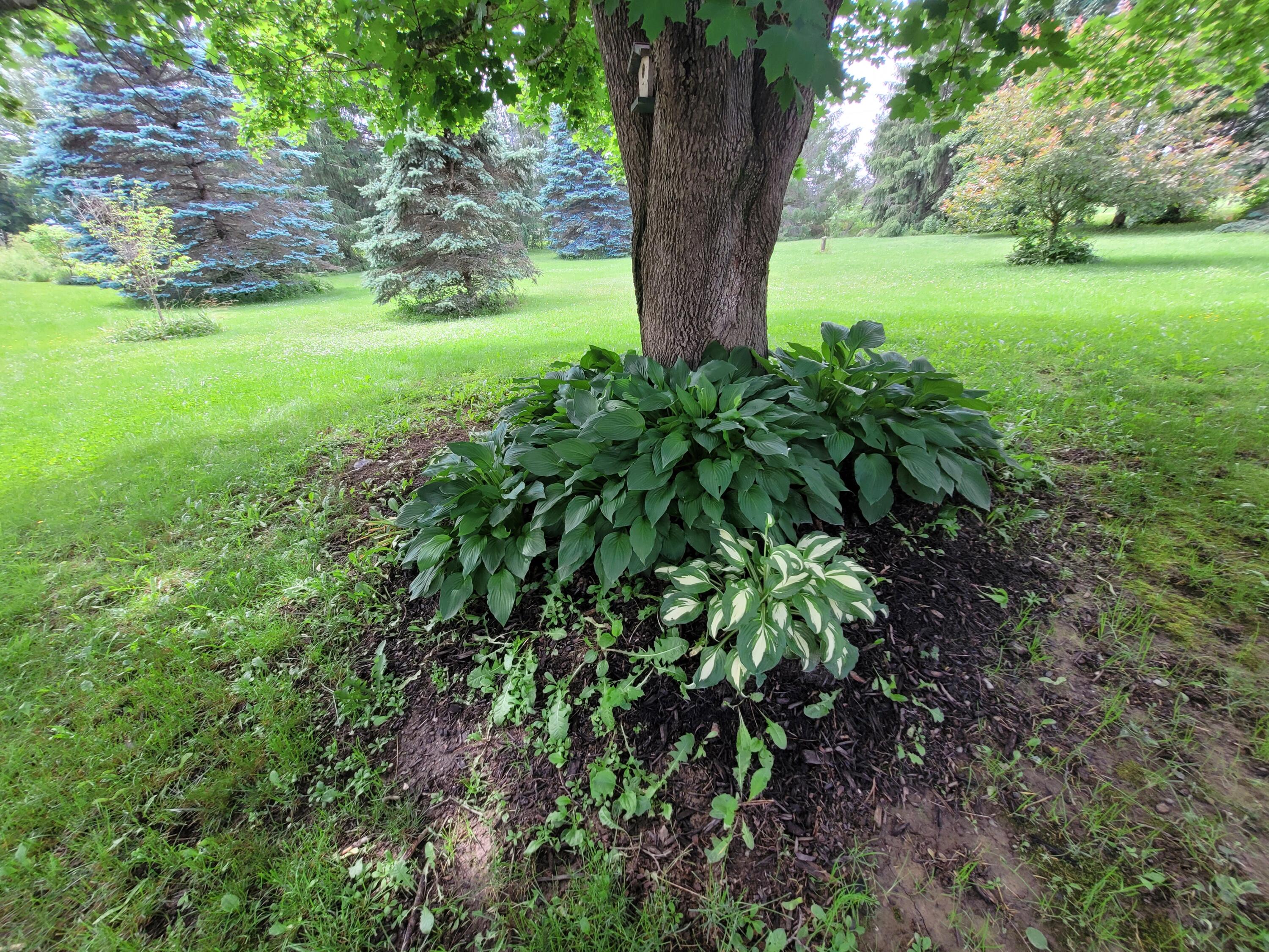 29 Horseback Road Carmel, ME 04419 - Photo 38 of 45 20230629_142036