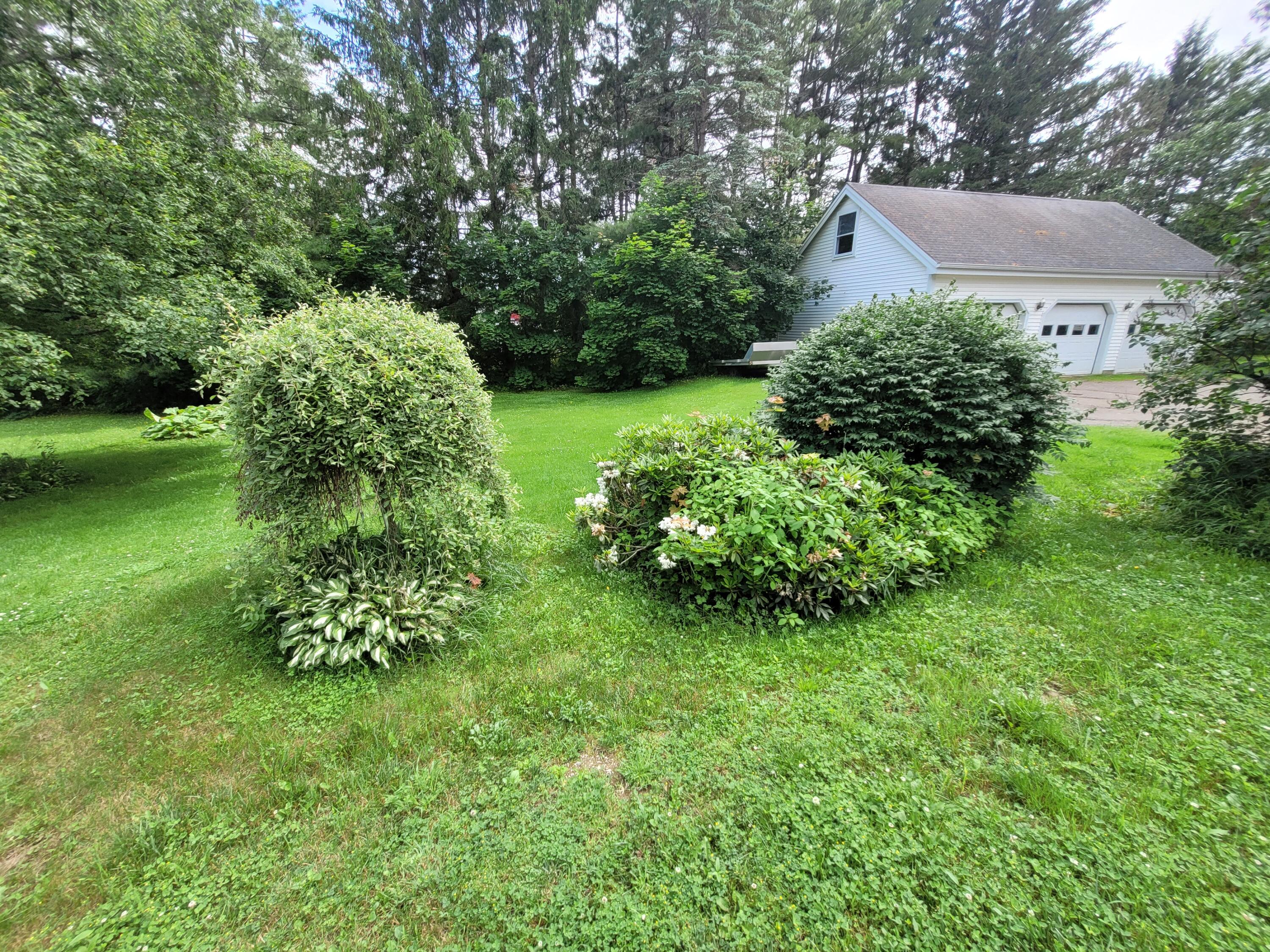 29 Horseback Road Carmel, ME 04419 - Photo 10 of 45 20230629_142950