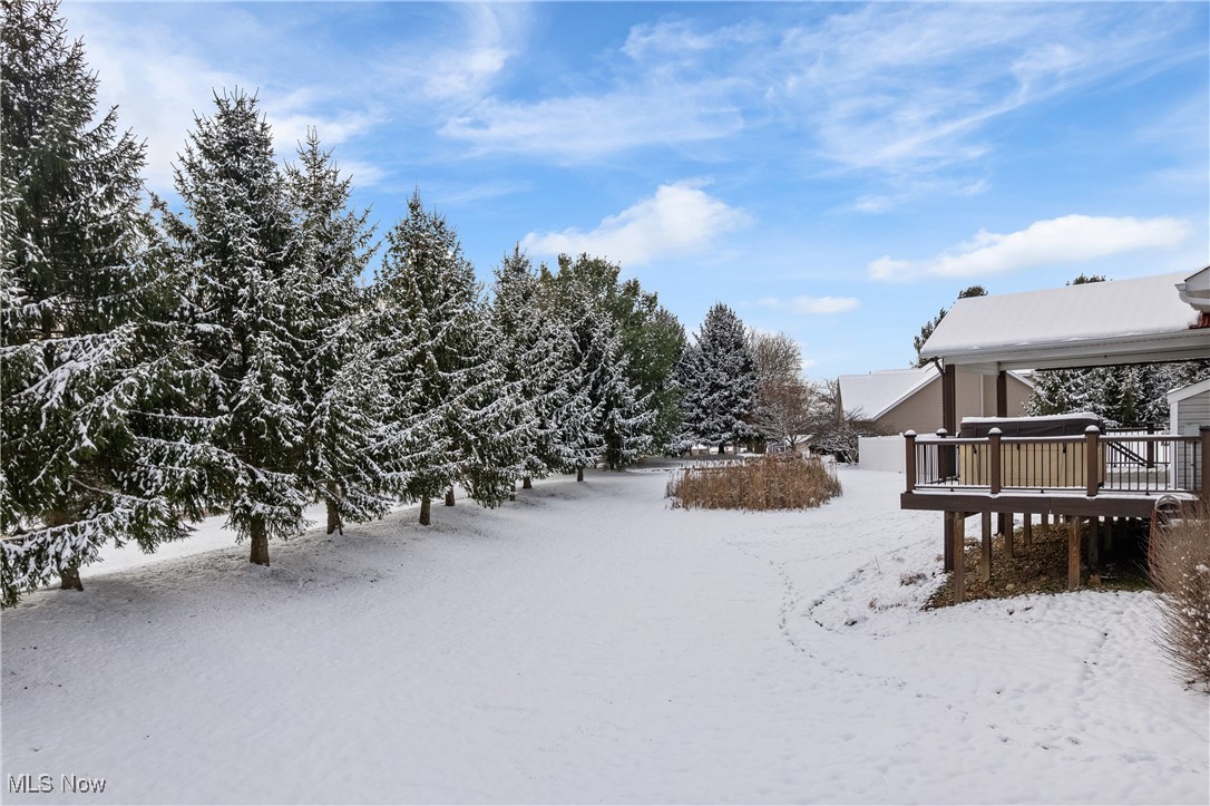 191 Ry Road Wadsworth, OH 44281 - Photo 29 of 34 Yard covered in snow with a wooden deck