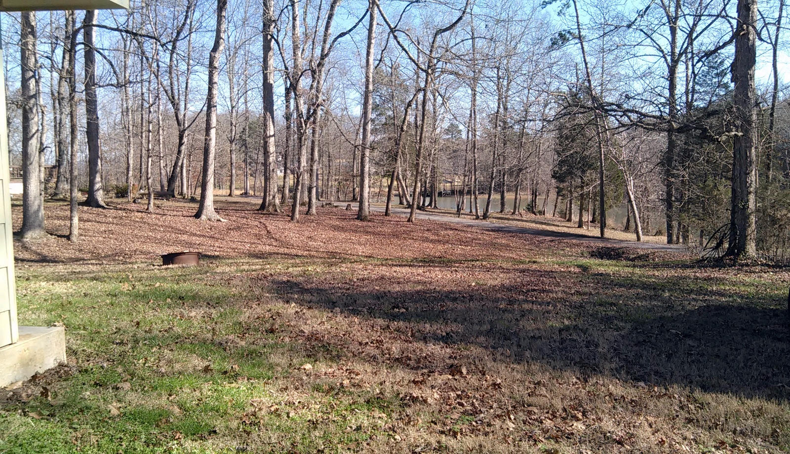 541 Coleman Road Decatur, TN 37322 - Photo 3 of 40 03-IMG_20160129_112244