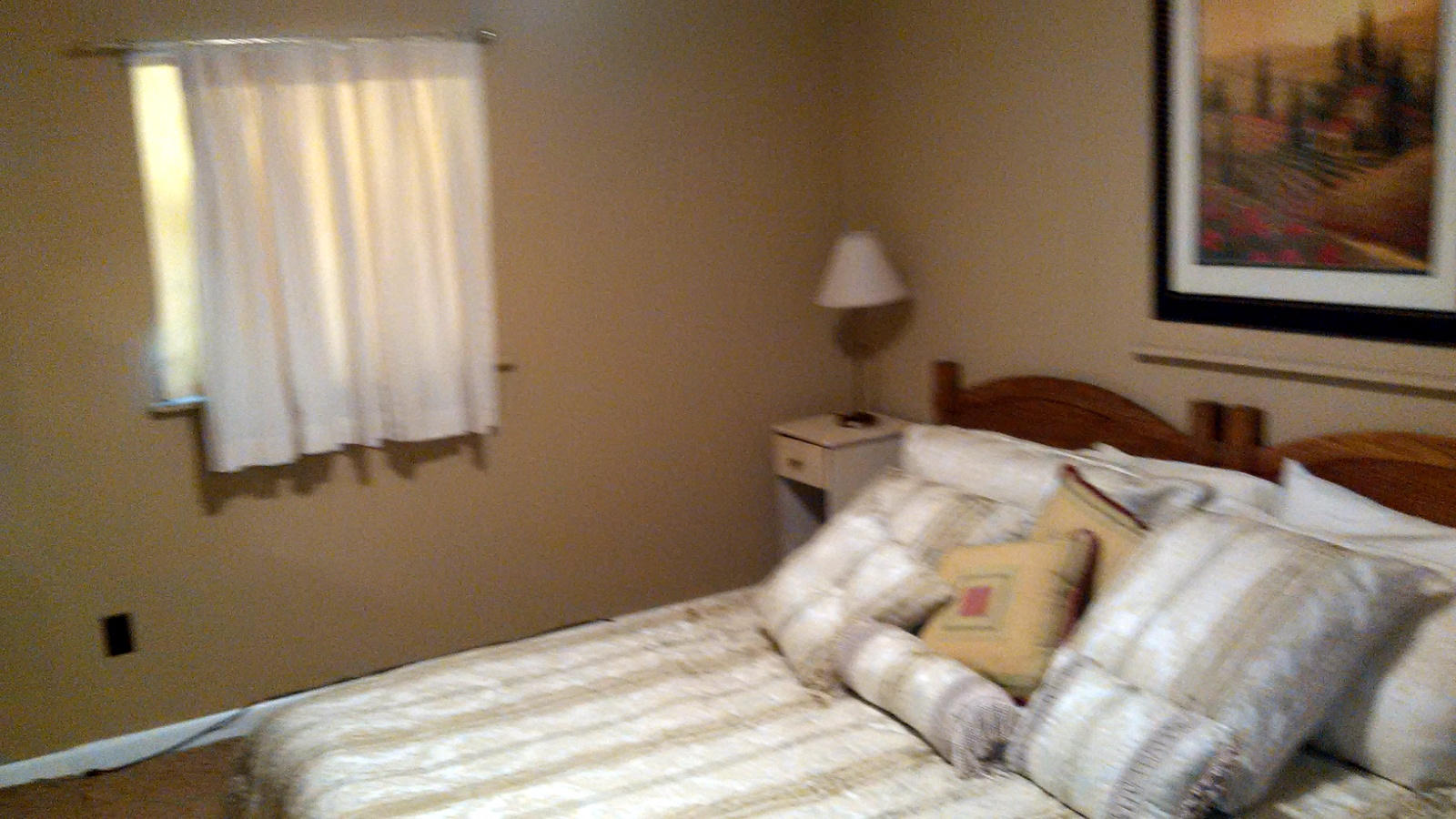 541 Coleman Road Decatur, TN 37322 - Photo 22 of 40 22-IMG_20160129_112954