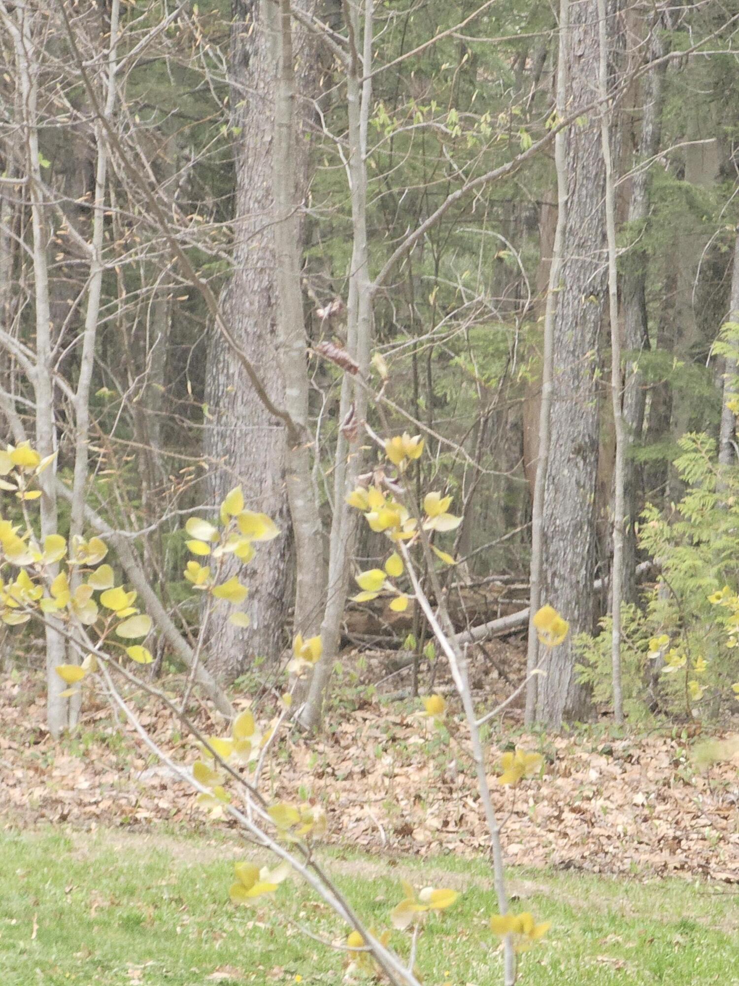 23 Macdonald Road Waterford, ME 04088 - Photo 44 of 45