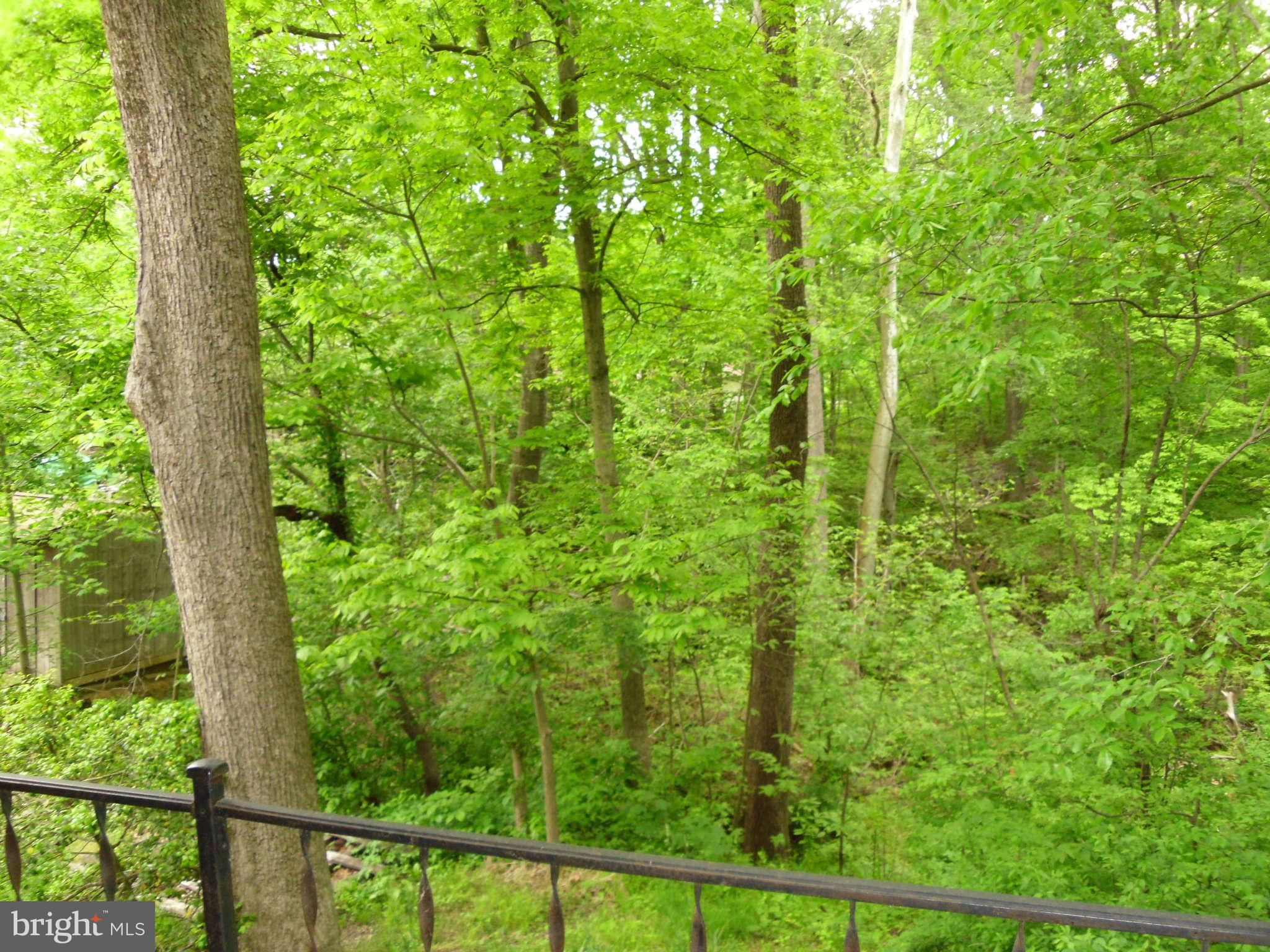 5751 Stephen Reid Road Huntingtown, MD 20639 - Photo 10 of 16 View
