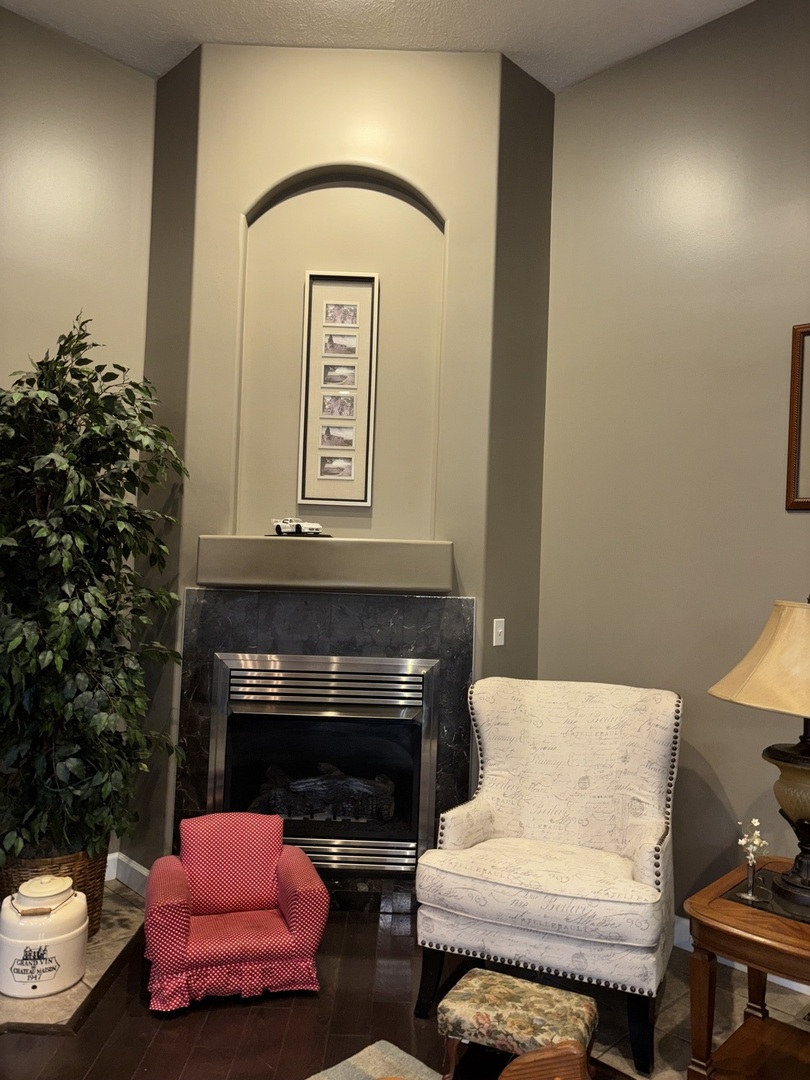 255 Twin Springs Loop Anna, IL 62906 - Photo 14 of 48 a living room with furniture and a fireplace