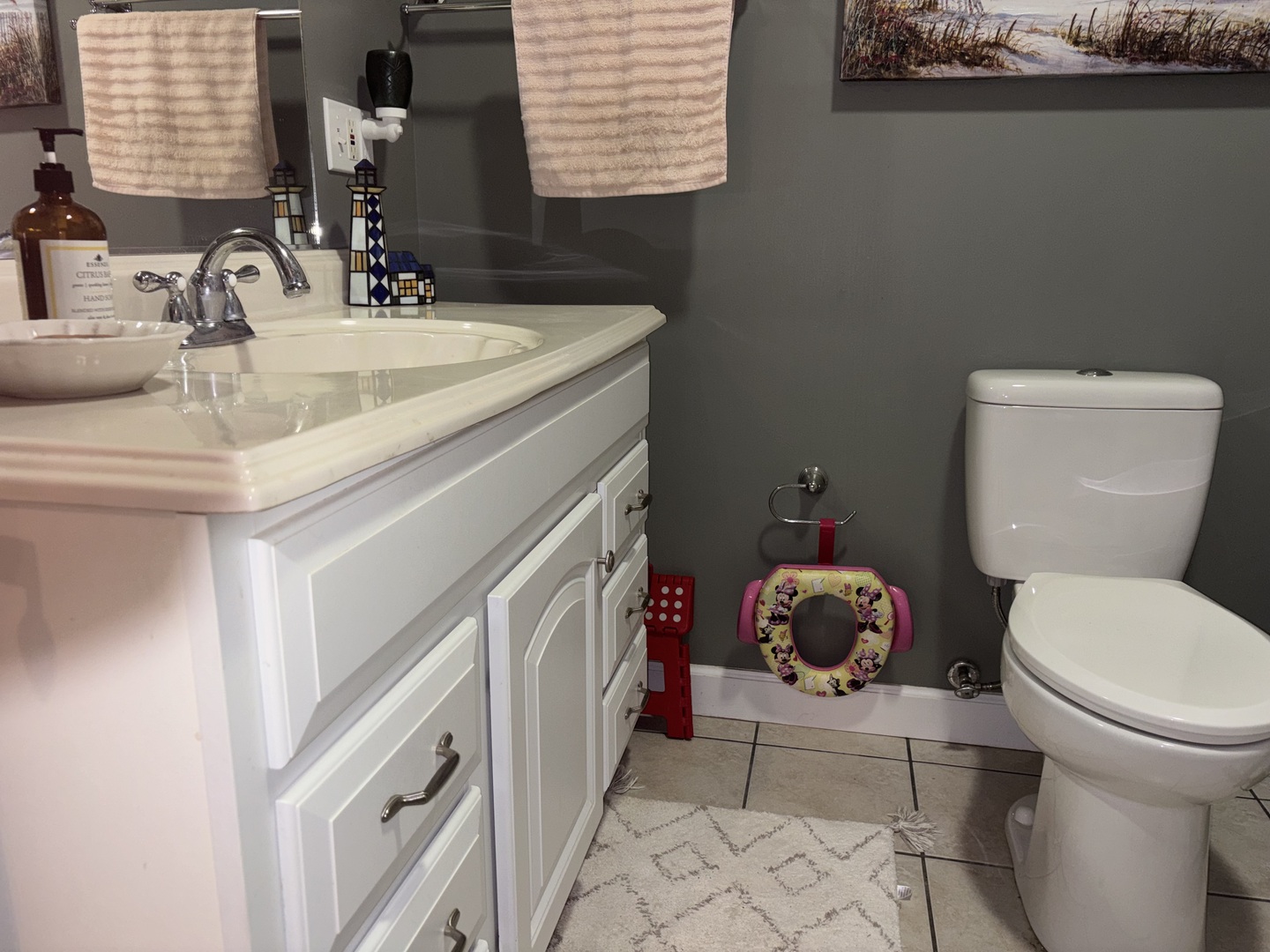 255 Twin Springs Loop Anna, IL 62906 - Photo 39 of 48 a bathroom with a toilet a sink and a mirror