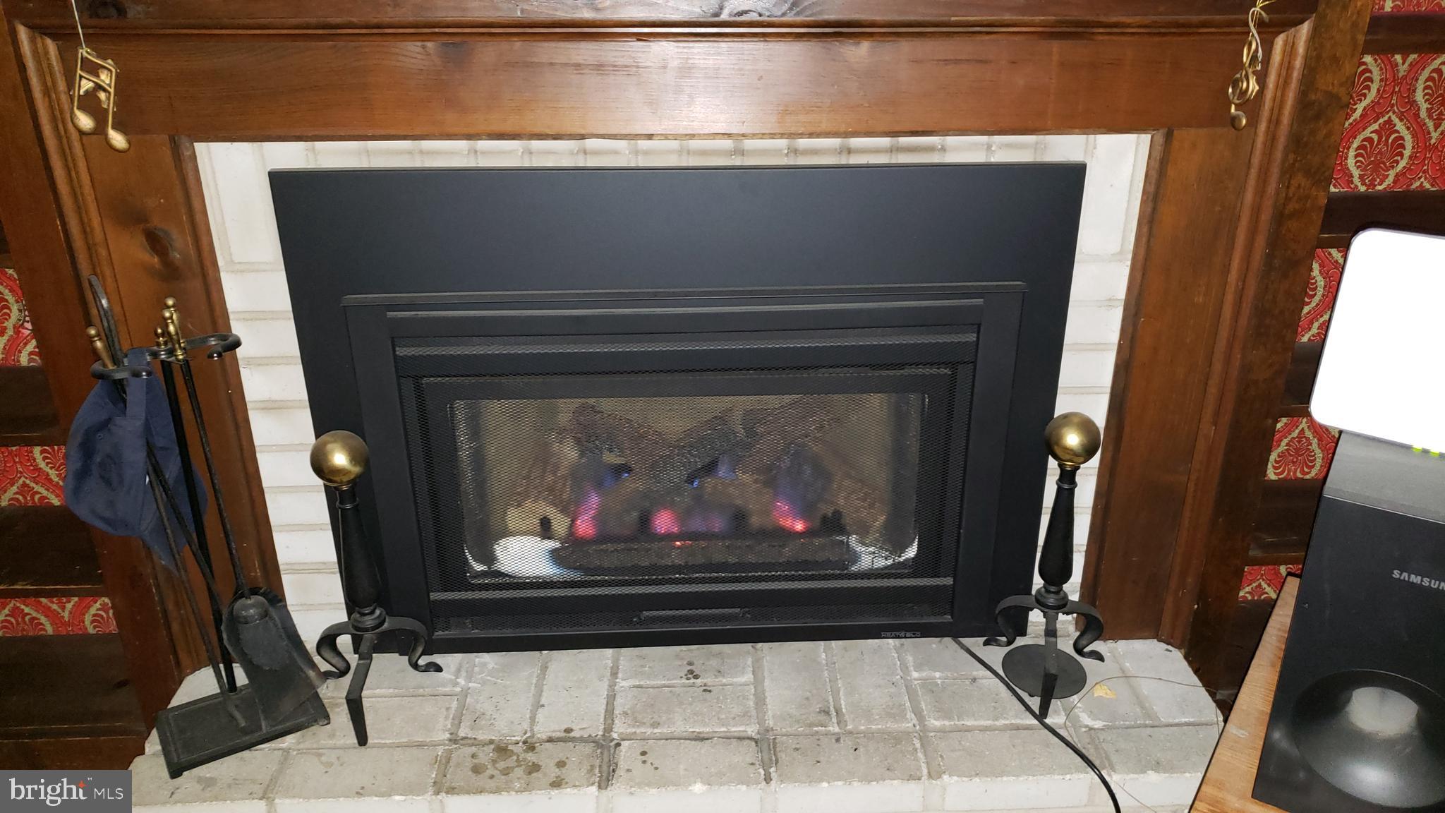 452 Lower Holland Road Southampton, PA 18966 - Photo 10 of 11 Fireplace