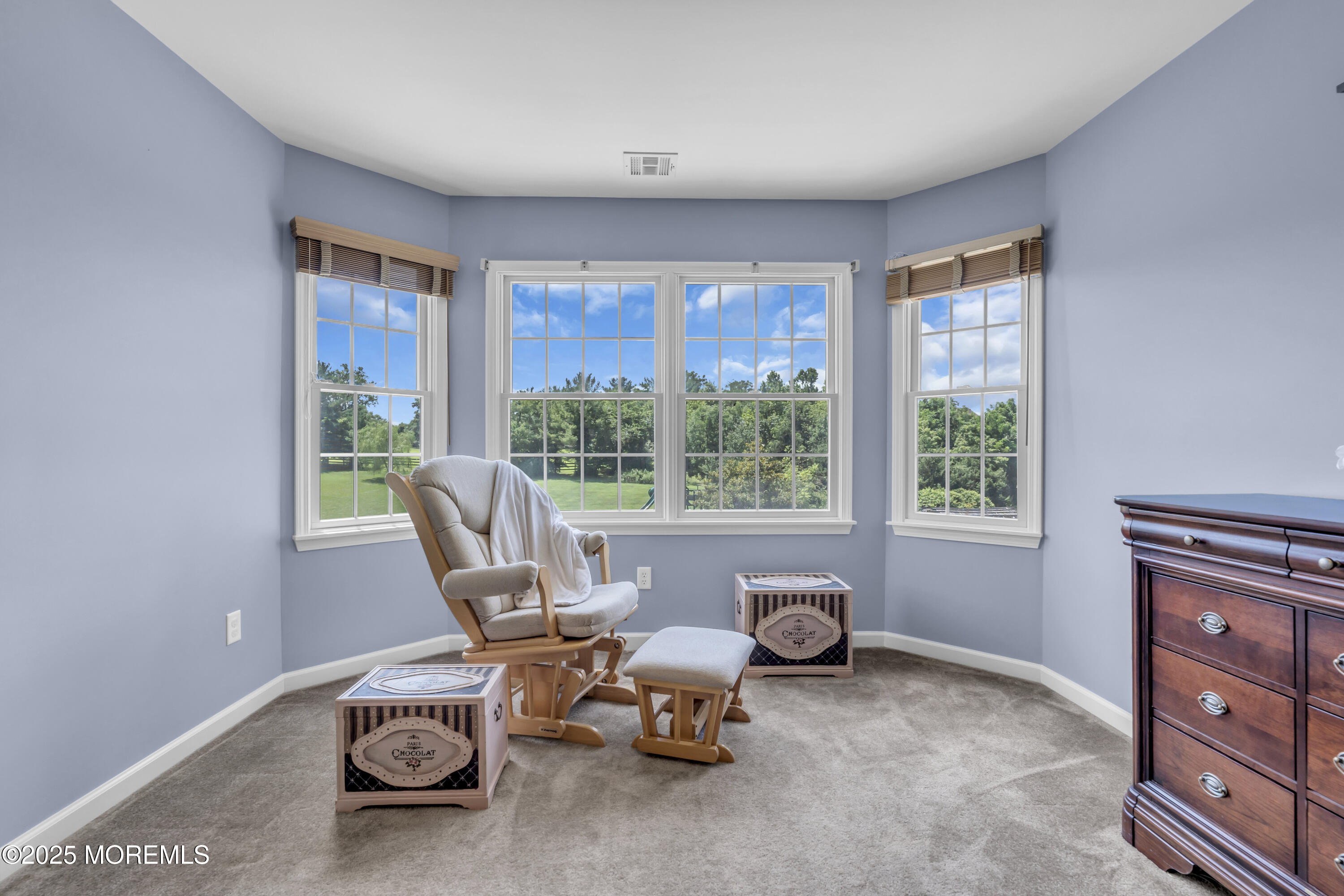 6 Cooper Court Cream Ridge, NJ 08514 - Photo 45 of 105 061_dsc06805_68