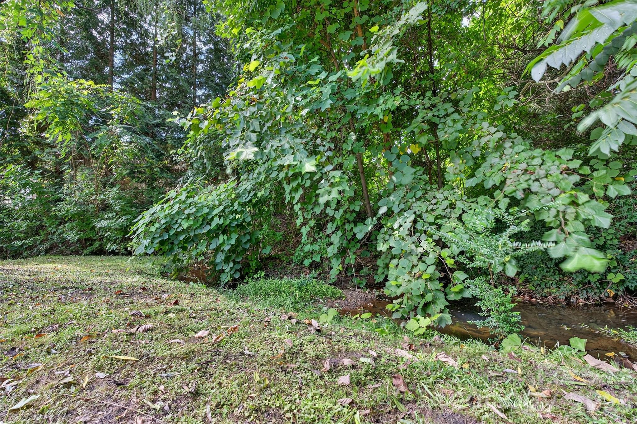 160 East Howard Street Tryon, NC 28782 - Photo 39 of 48 a view of a yard with a tree