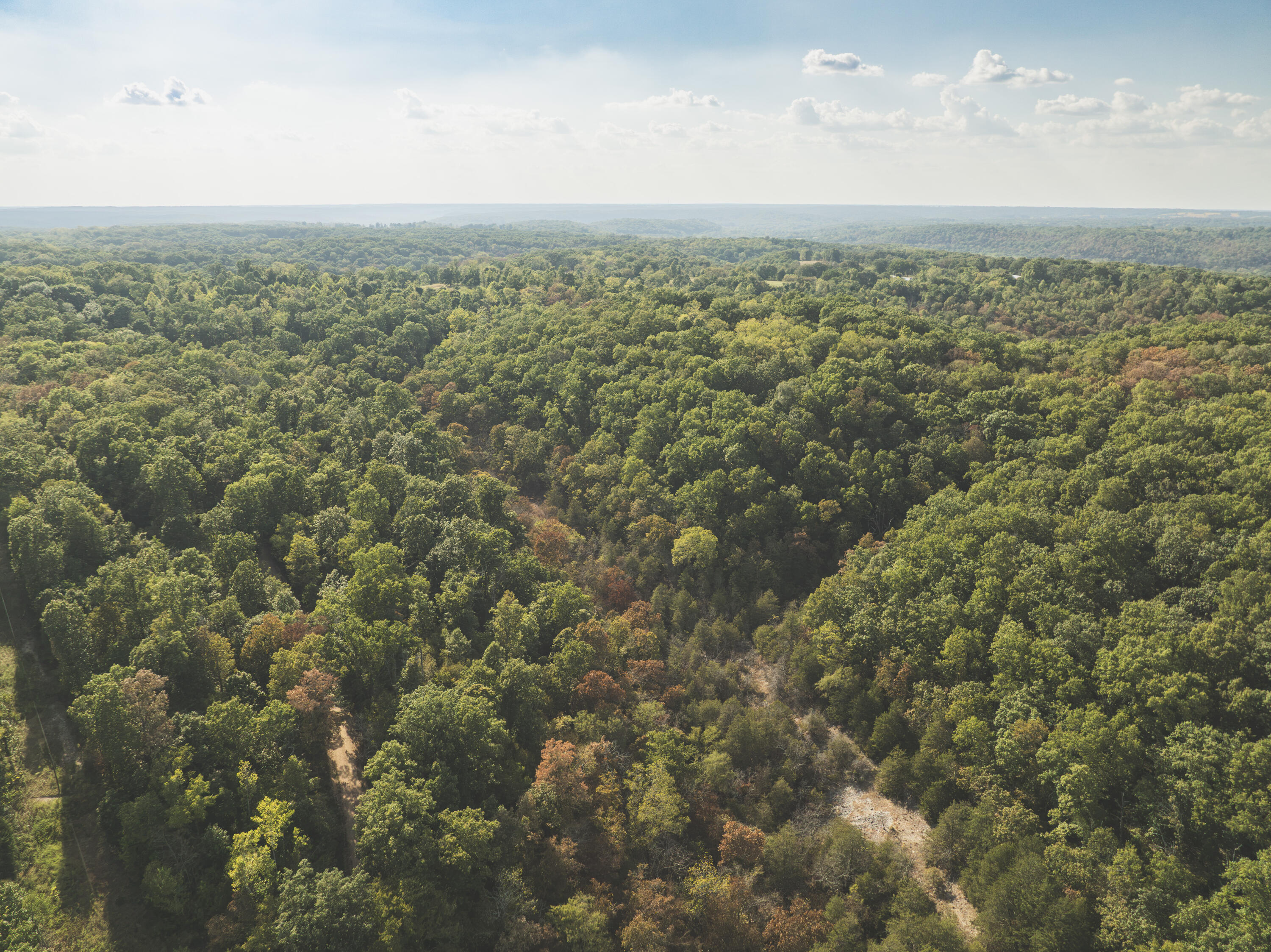 0 Boone Hollow Road Powell, MO 65730 - Photo 11 of 95 MWLG - Boone Hollow 40 - DG010