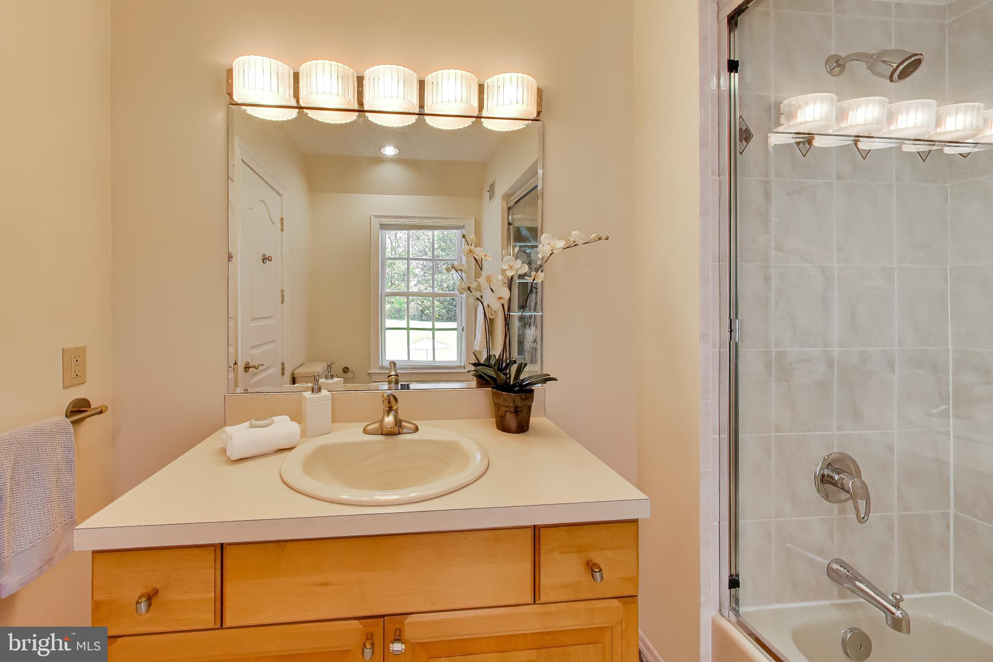 9001 Persimmon Tree Road Potomac, MD 20854 - Photo 41 of 77 a bathroom with a sink and a mirror