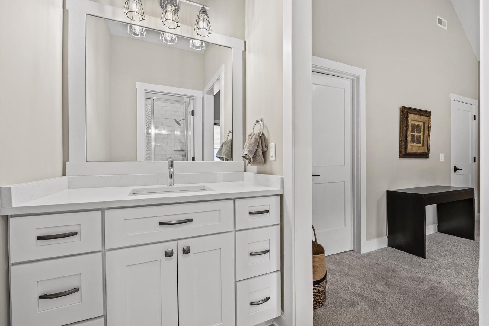 744 Sunset Drive Naperville, IL 60540 - Photo 9 of 18 a bathroom with a sink vanity and a mirror
