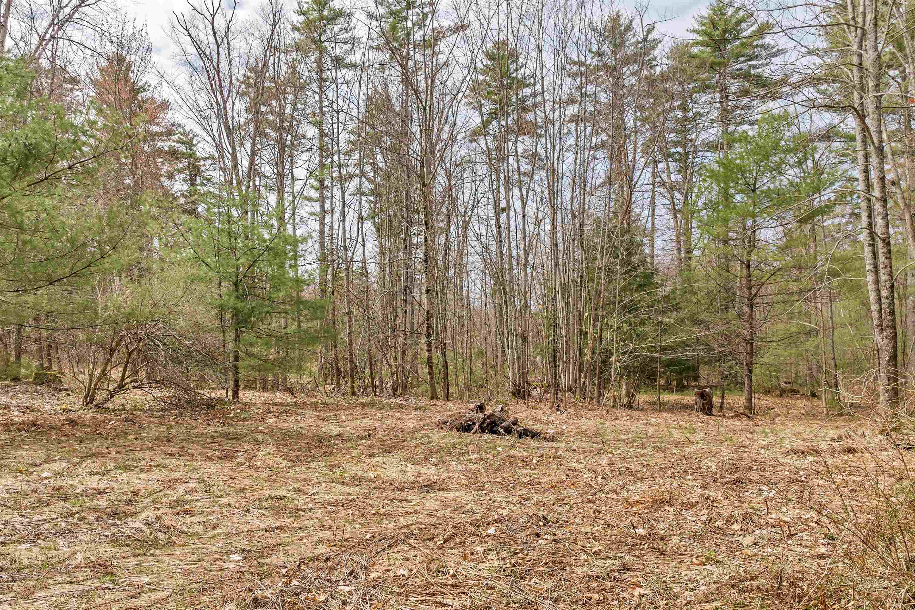0 Dane Road Center Harbor, NH 03226 - Photo 3 of 23 Gallery Image 3