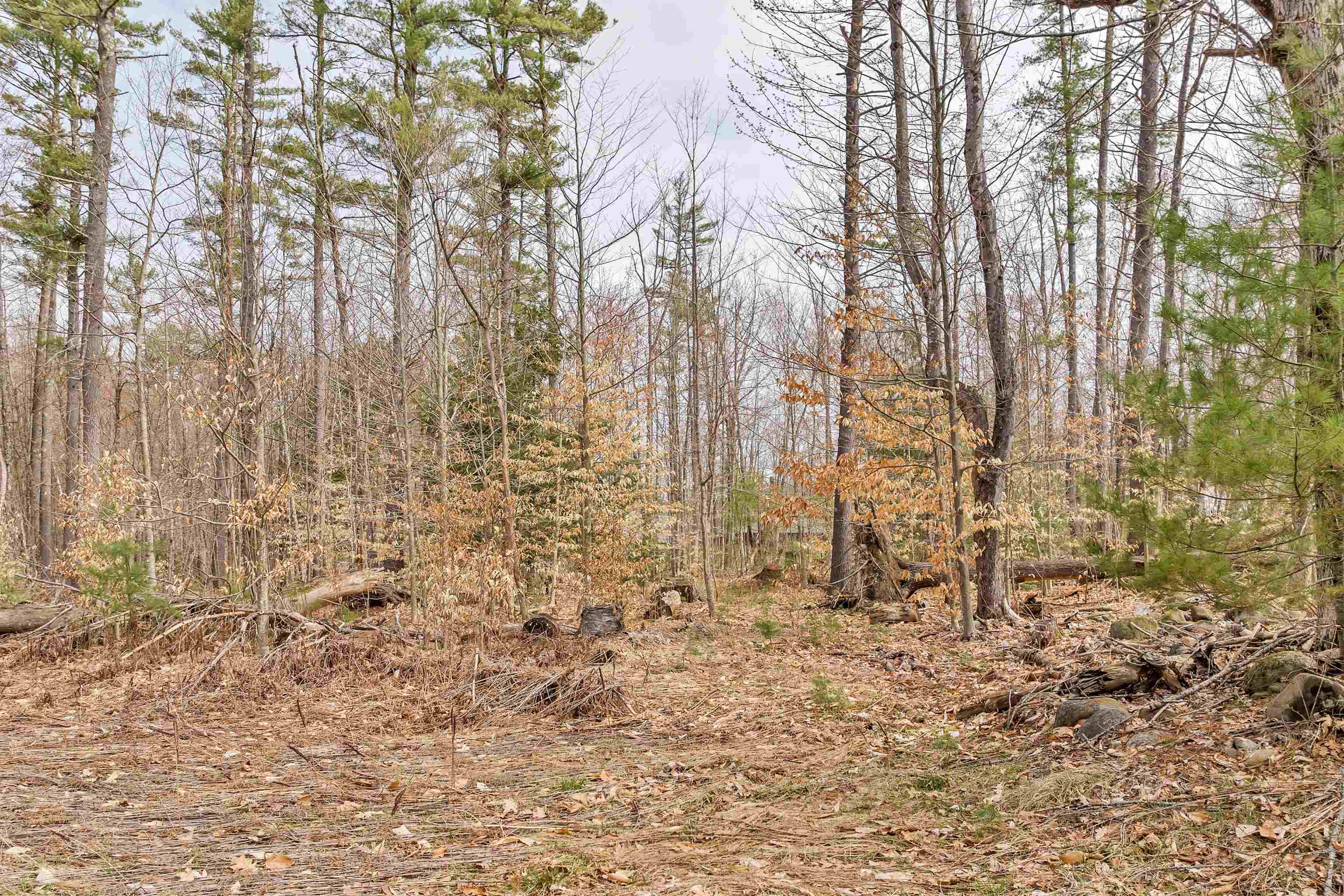 0 Dane Road Center Harbor, NH 03226 - Photo 5 of 23 Gallery Image 5