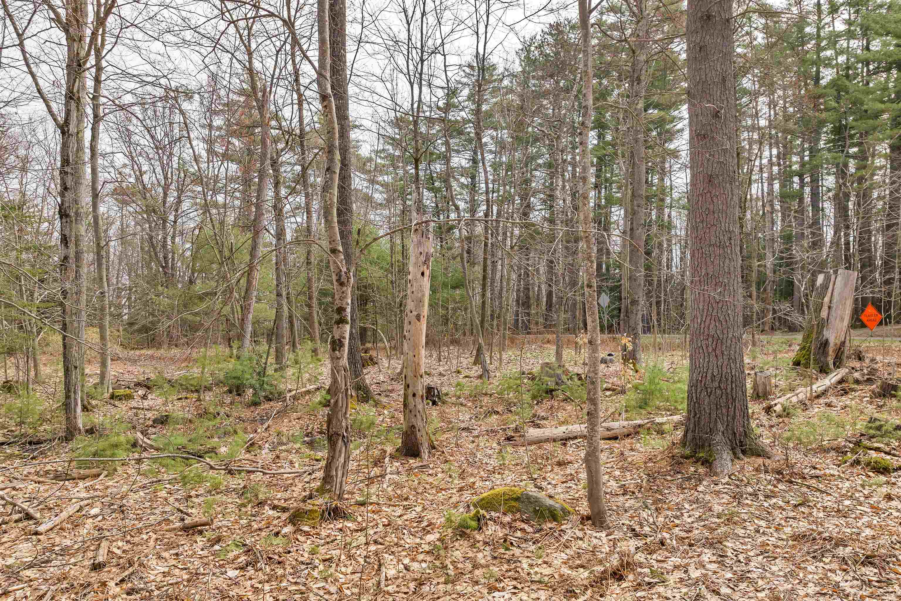 0 Dane Road Center Harbor, NH 03226 - Photo 6 of 23 Gallery Image 6