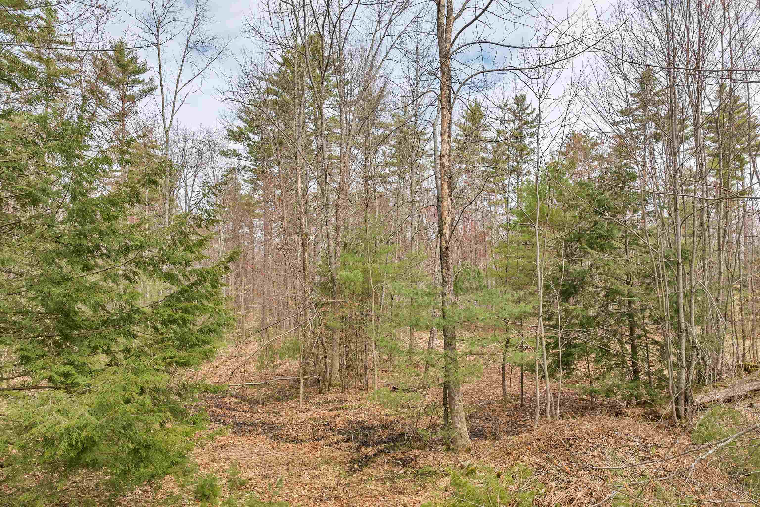 0 Dane Road Center Harbor, NH 03226 - Photo 7 of 23 Gallery Image 7