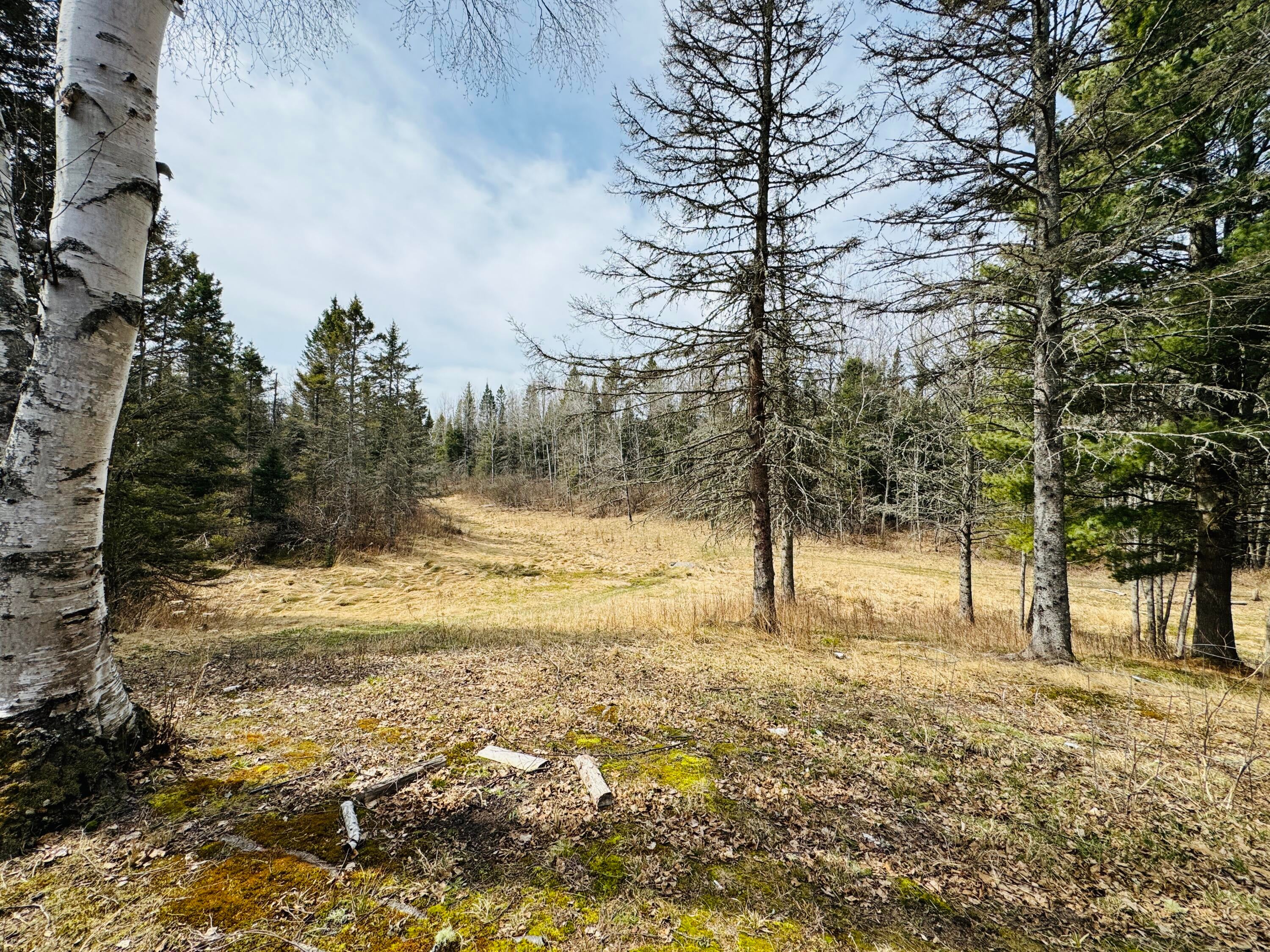 0 South Ojala Road Brimley, MI 49715 - Photo 22 of 48 Gallery Image 22