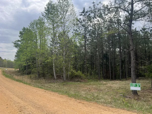 $85,000 | 37 Pafford Lane, Erin, TN 37061