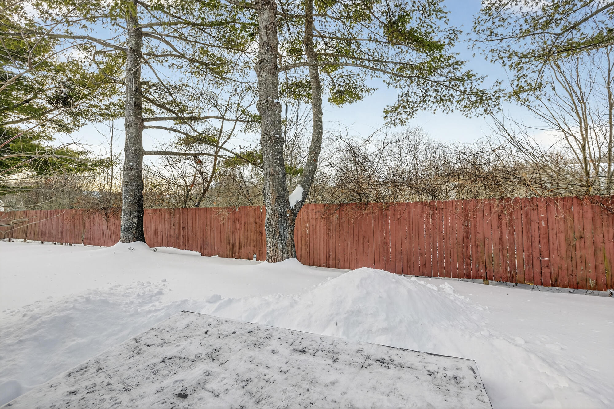 1 Dale Court, Unit 1 Portland, ME 04102 - Photo 30 of 41 1 Dale Court_29