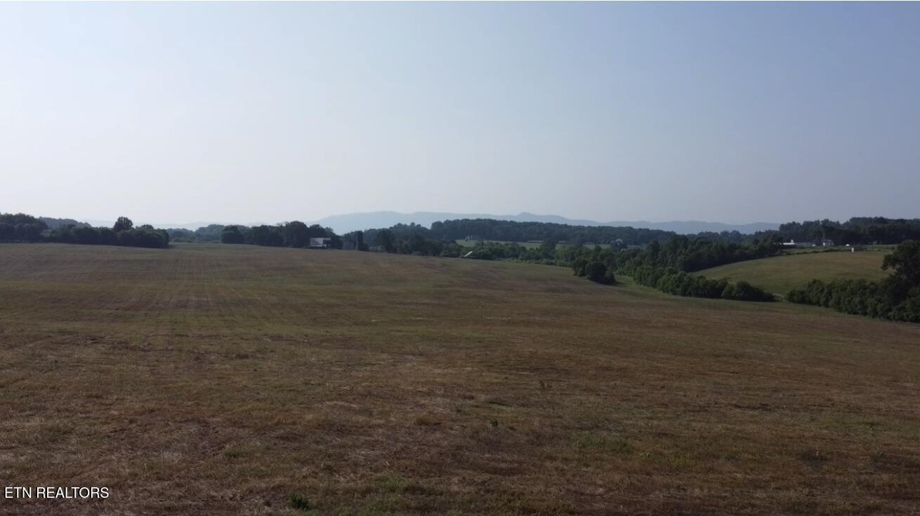 491 Alfred McCammon Road Maryville, TN 37804 - Photo 1 of 18 Image 16