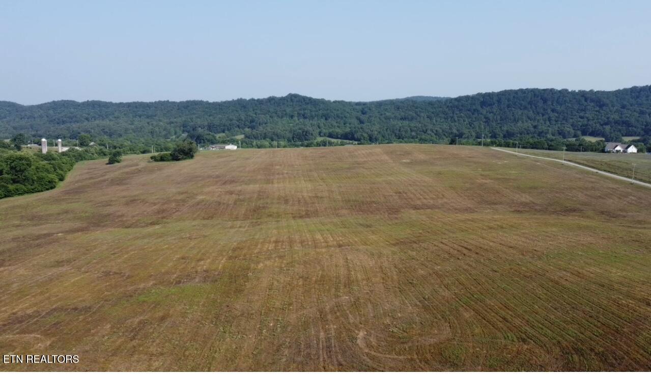 491 Alfred McCammon Road Maryville, TN 37804 - Photo 11 of 18 Image 6