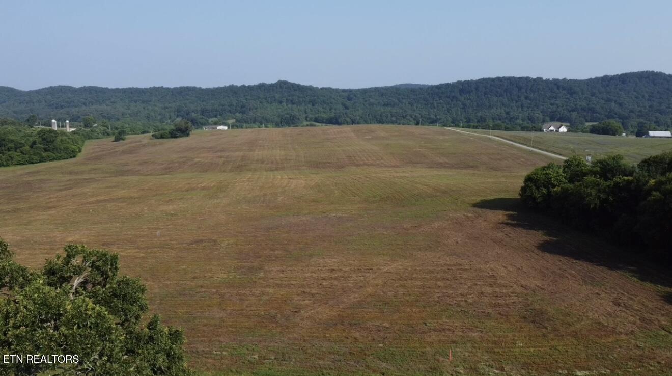 491 Alfred McCammon Road Maryville, TN 37804 - Photo 13 of 18 Image 4