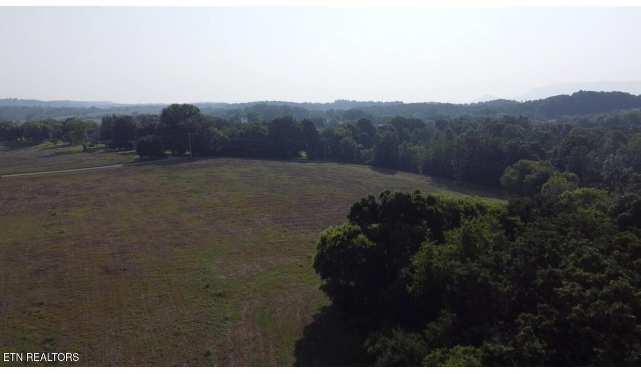 491 Alfred McCammon Road Maryville, TN 37804 - Photo 14 of 18 Image 3