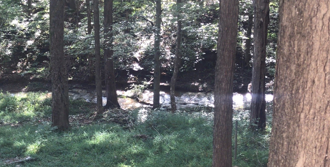 3857 East Lake Road Springfield, TN 37172 - Photo 21 of 29 Gallery Image 21
