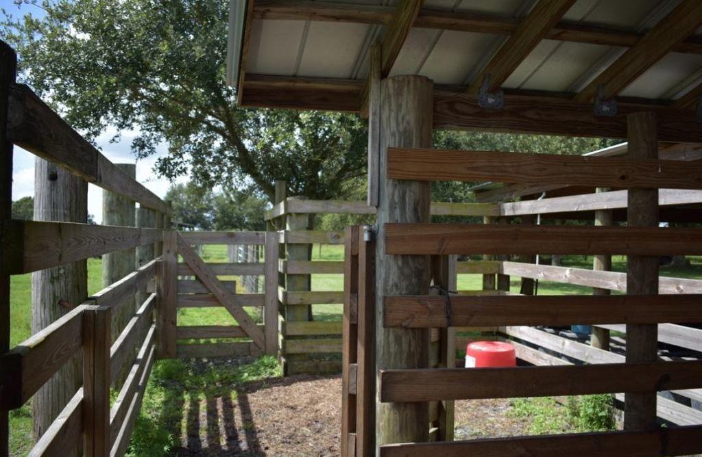 940 Starns Loop Road Okeechobee, FL 34974 - Photo 32 of 33 Barn Stalls
