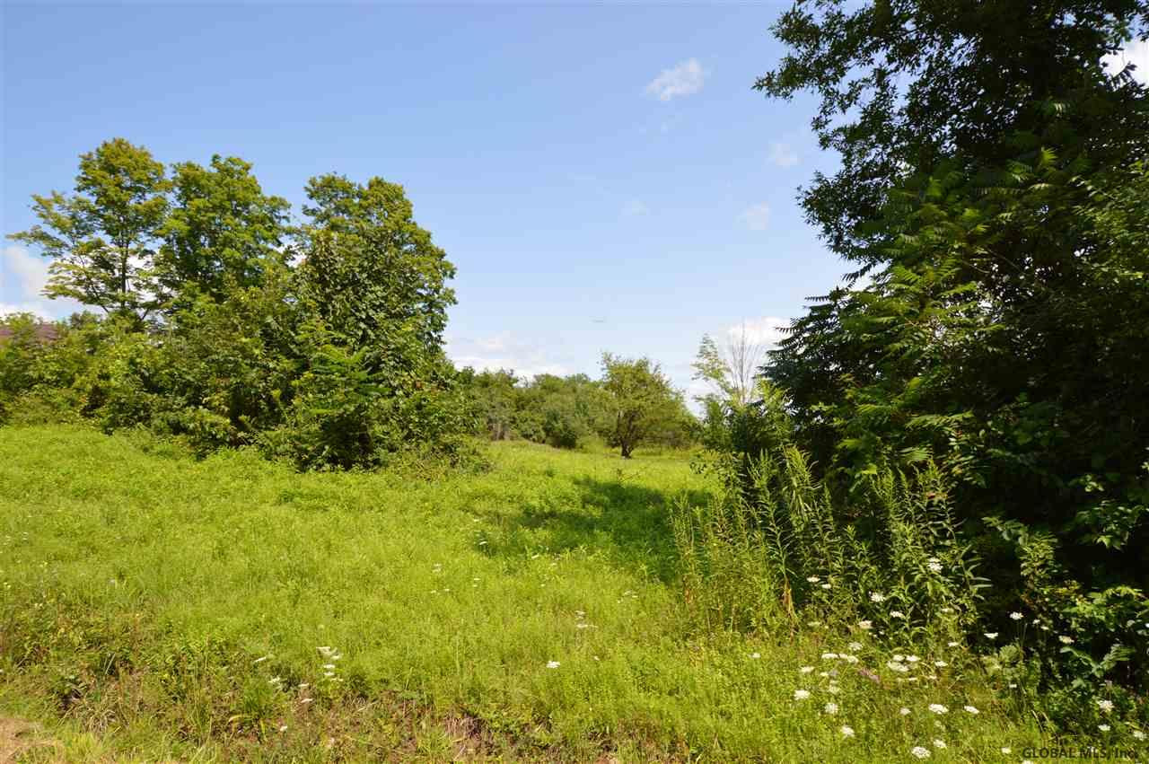 0 Town Road Mayfield, NY 12117 - Photo 1 of 8 Photo 1