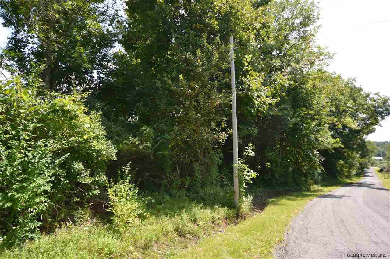 0 Town Road Mayfield, NY 12117 - Photo 2 of 8 Photo 2