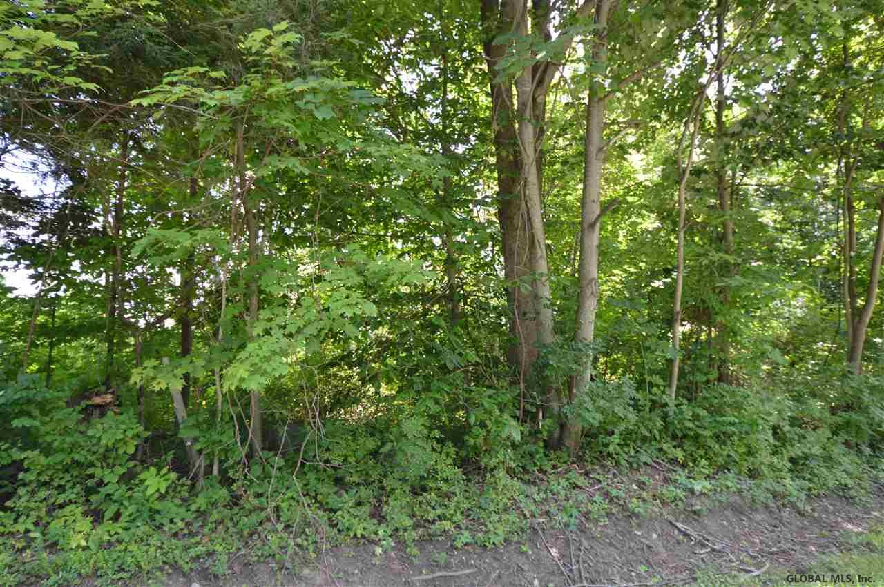 0 Town Road Mayfield, NY 12117 - Photo 4 of 8 Photo 4