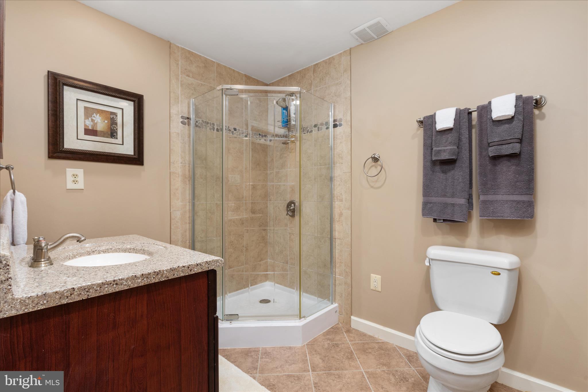 272 Buster Brown Drive Rio, WV 26755 - Photo 50 of 113 Basement Bathroom
