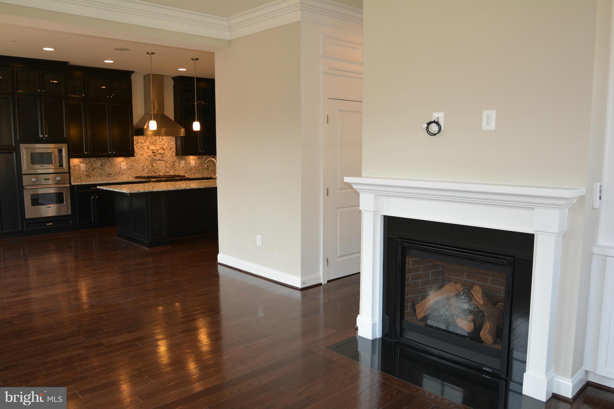 1413 Ridgeview Way Washington, DC 20007 - Photo 11 of 19 Family Room