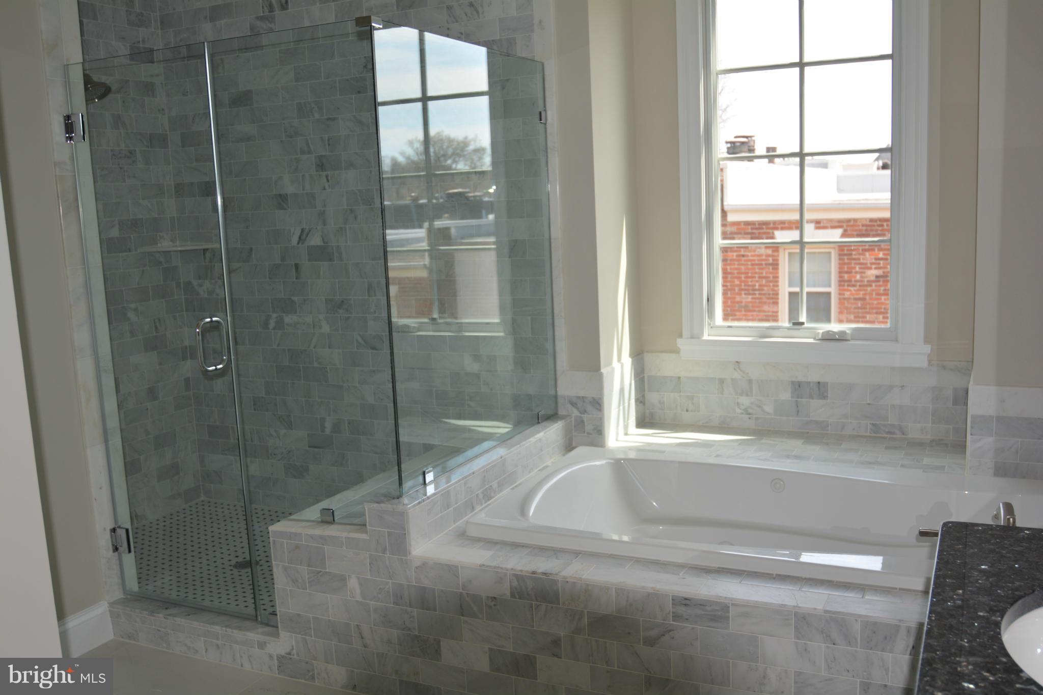 1413 Ridgeview Way Washington, DC 20007 - Photo 16 of 19 Bath (Master)