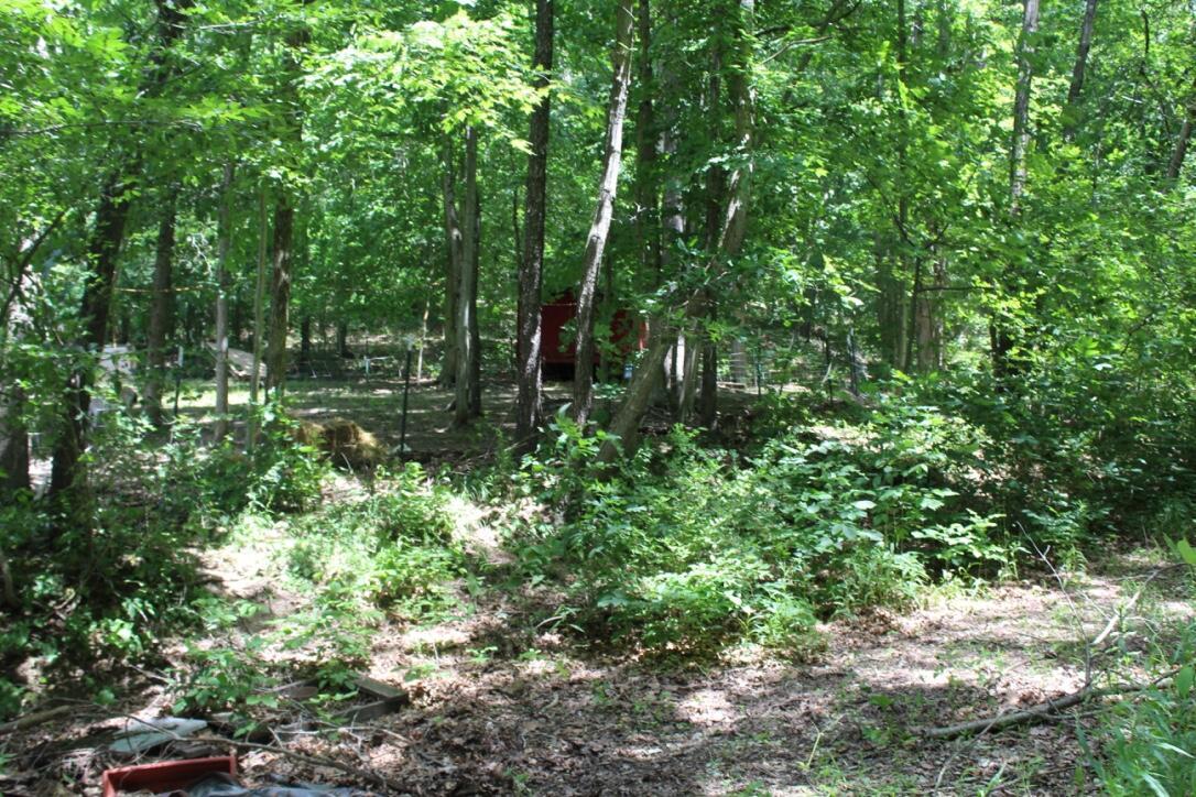 11100 Frasure-Helber Road Logan, OH 43138 - Photo 34 of 47 Over 2 acres of natural beauty!