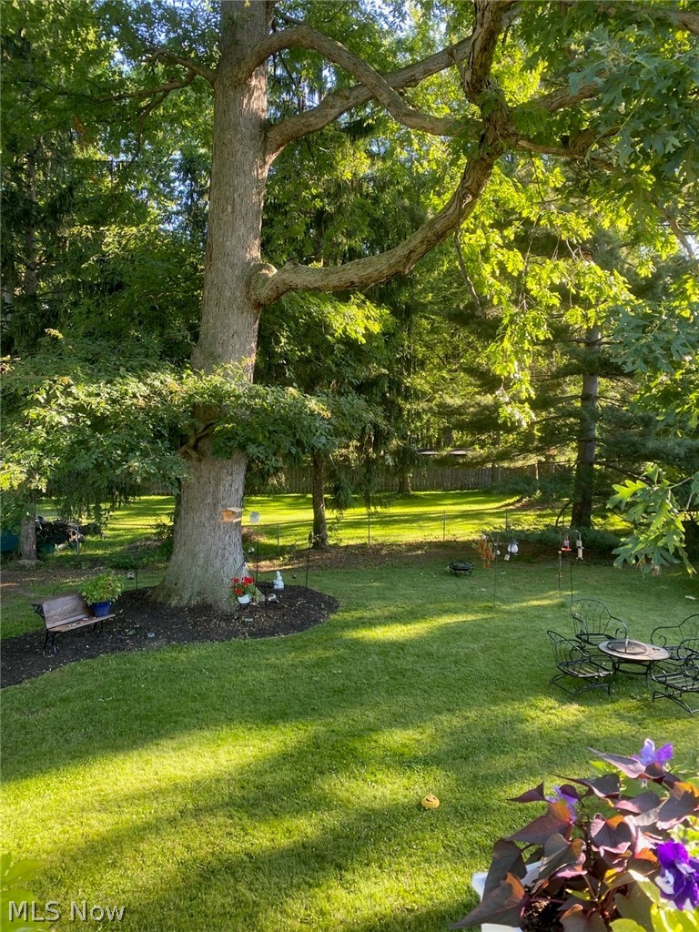 8071 Munson Road Mentor, OH 44060 - Photo 26 of 29 Gallery Image 26