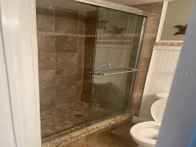 a bathroom with a shower and toilet